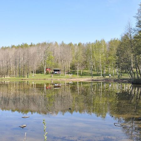 Furusjoens Cottage Animskog Екстер'єр фото